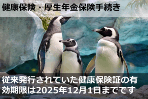 従来発行されていた健康保険証の有効期限は2025年12月1日までです