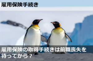 雇用保険の取得手続きは前職喪失を待ってから？