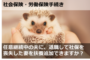 任意継続中の夫に、退職して社保を喪失した妻を扶養追加できますか？