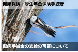 傷病手当金の支給の可否について