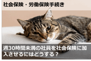 週30時間未満の社員を社会保険に加入させるにはどうする？